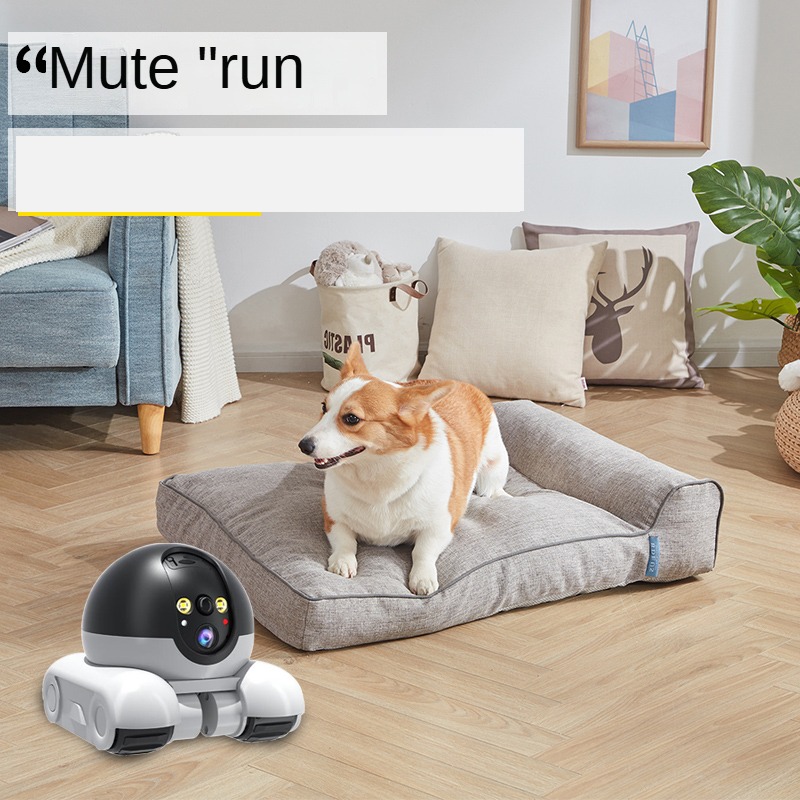 Новая Wi-Fi камера 1080P HD PT – обзор и цена Home Security Robots