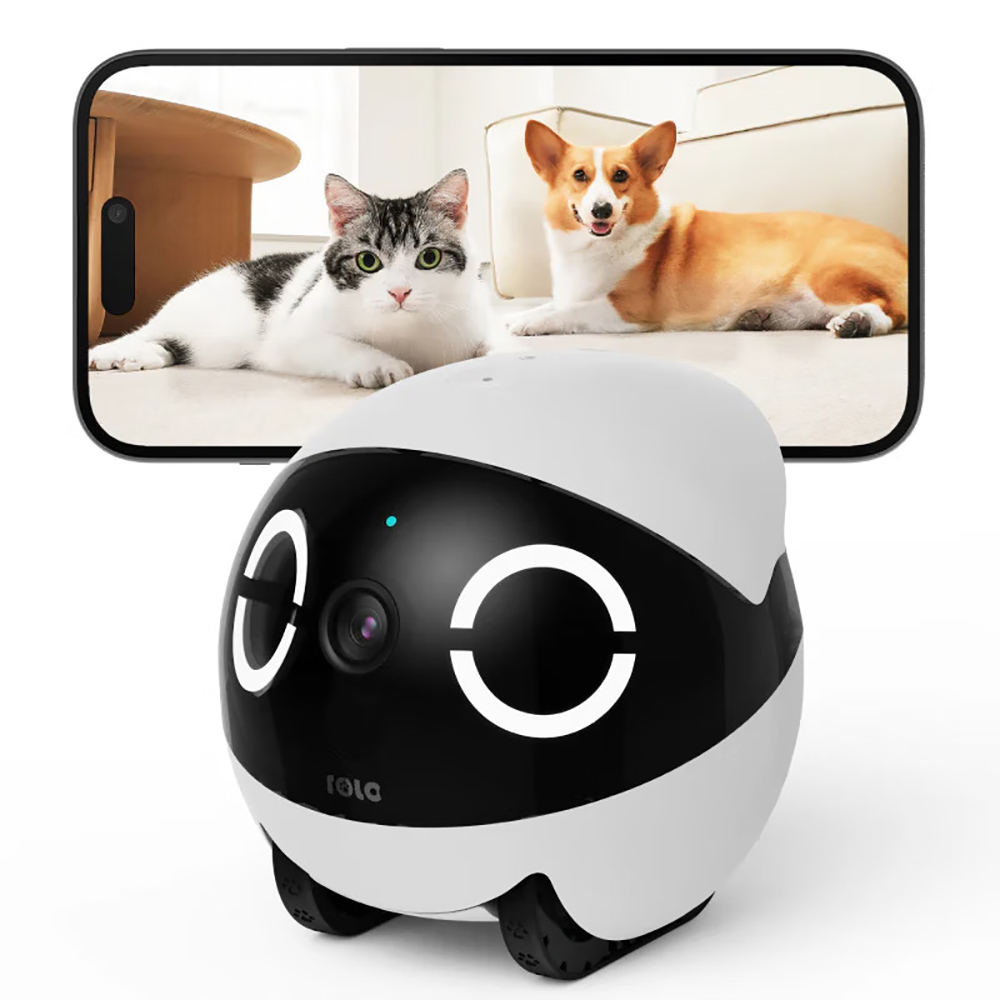 Робот-компаньон для домашних ж – обзор и цена Home Security Robots