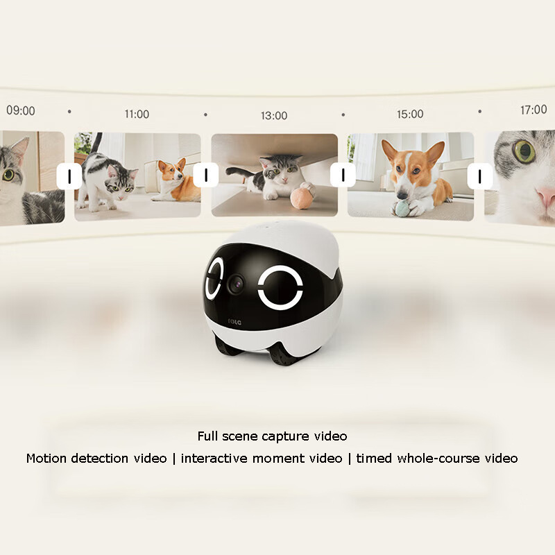 Робот-компаньон для домашних ж – обзор и цена Home Security Robots