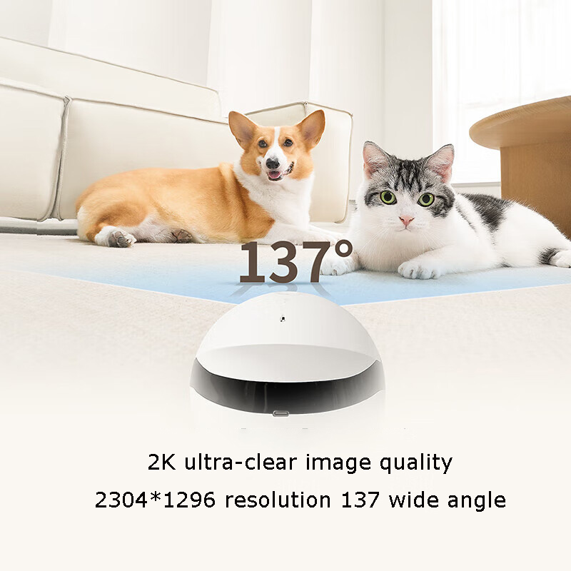 Робот-компаньон для домашних ж – обзор и цена Home Security Robots